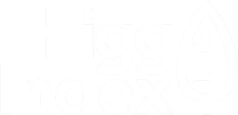 higg sertifika